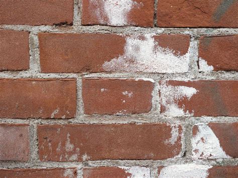 efflorescence test on bricks